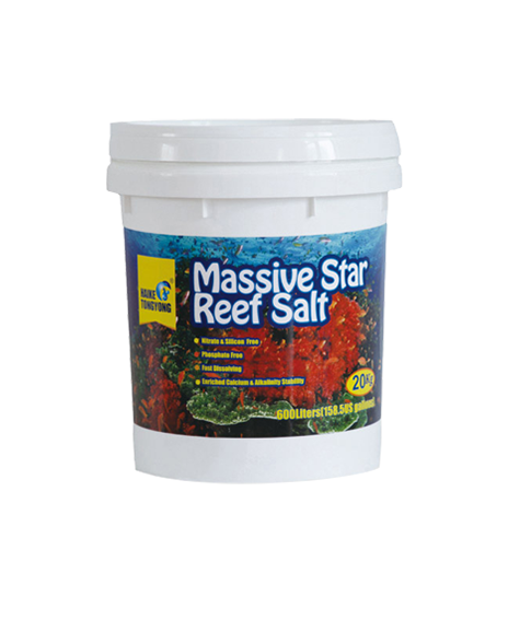 海量星软体珊瑚(LPS)盐